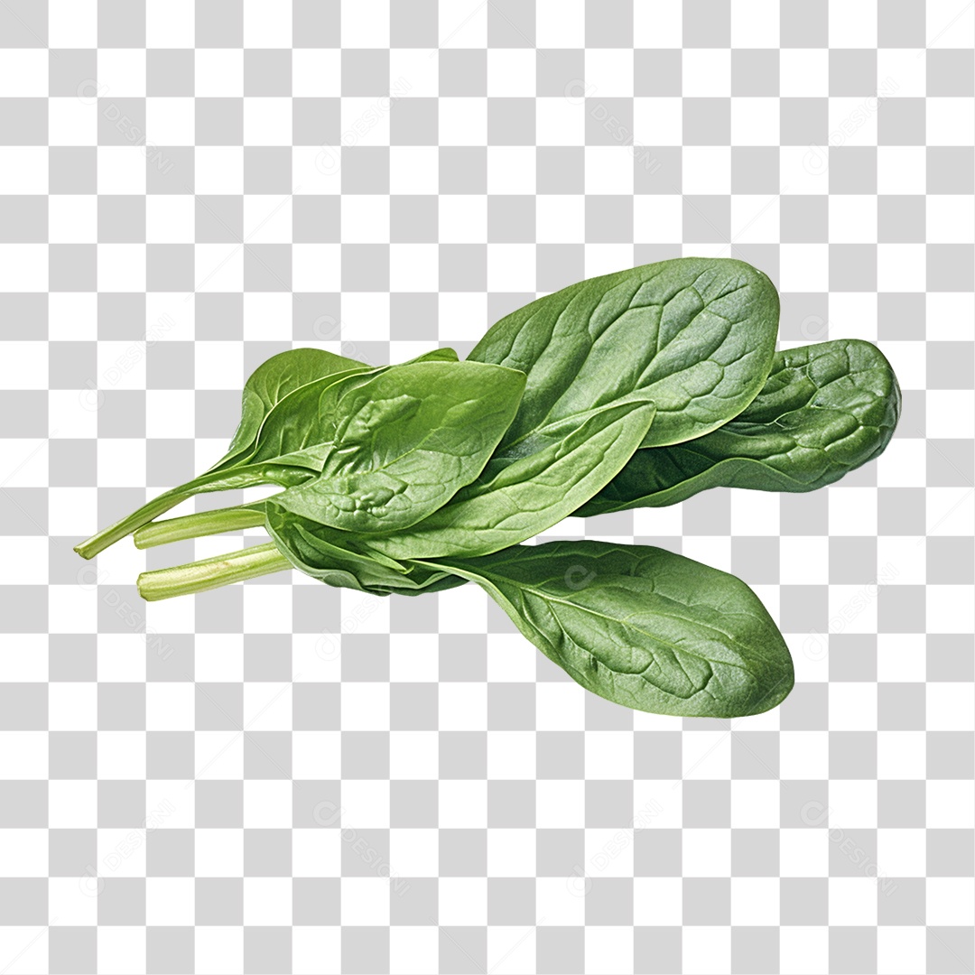 Verduras Legumes e Frutas Espinafre PNG Transparente