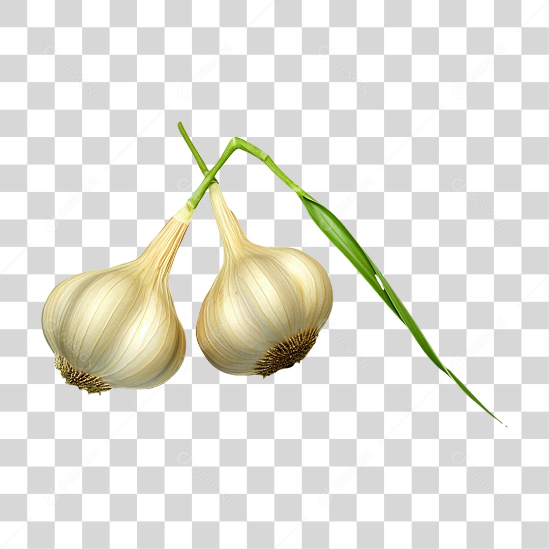 Verduras Legumes e Fruta Alho PNG Transparente