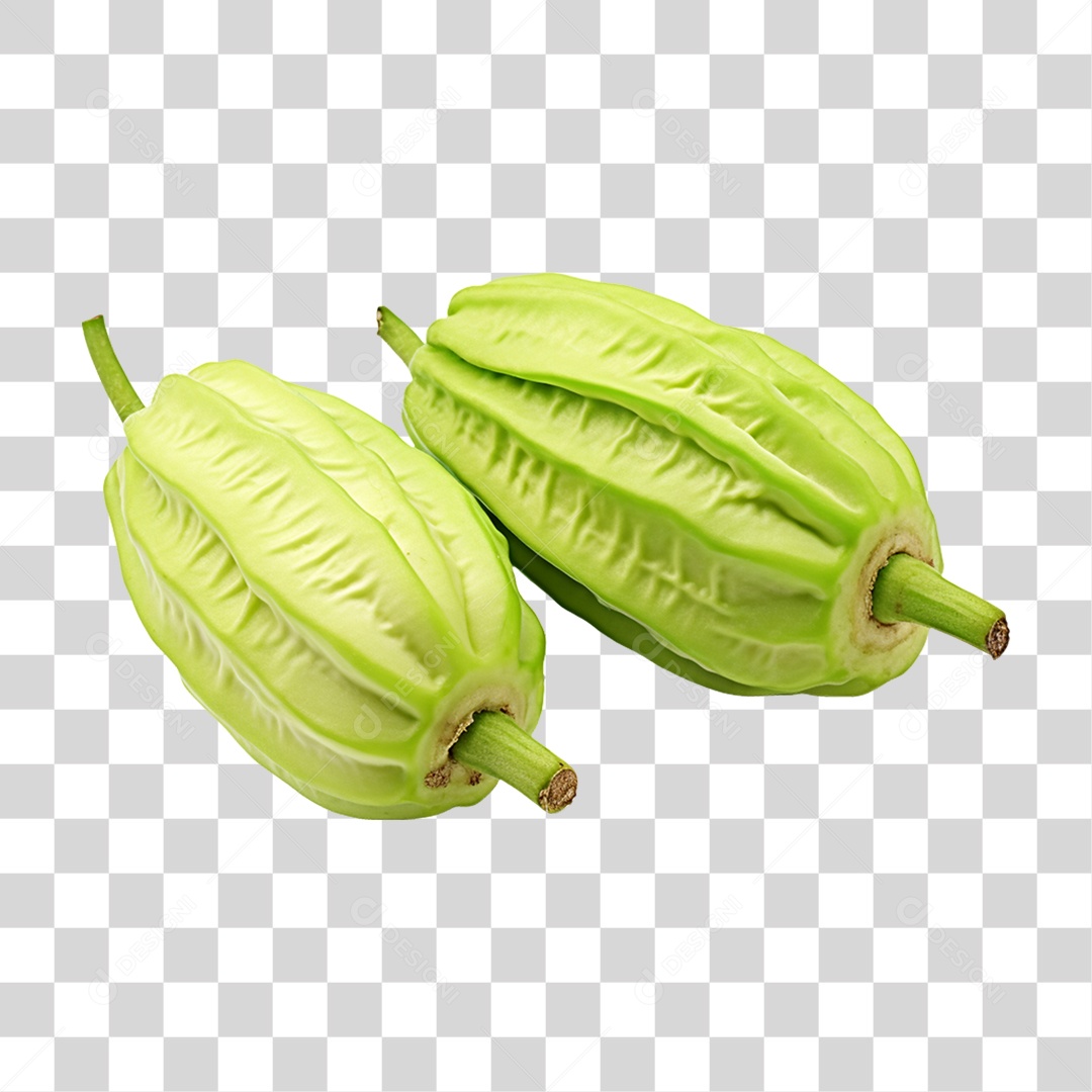 Verduras Legumes e Frutas Cabaço Amargo PNG Transparente