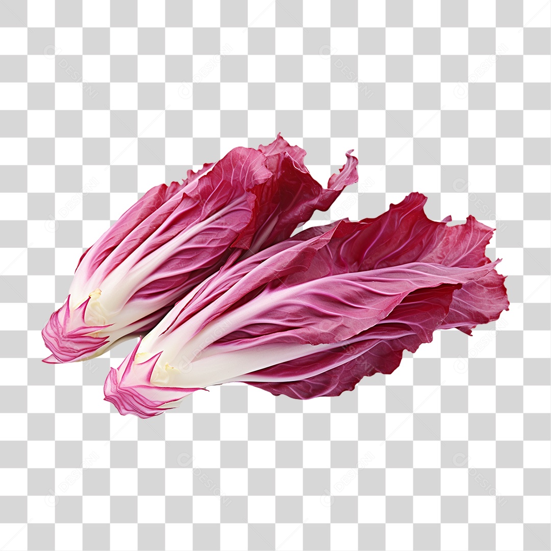 Verduras Legumes e Frutas Radicchio PNG Transparente