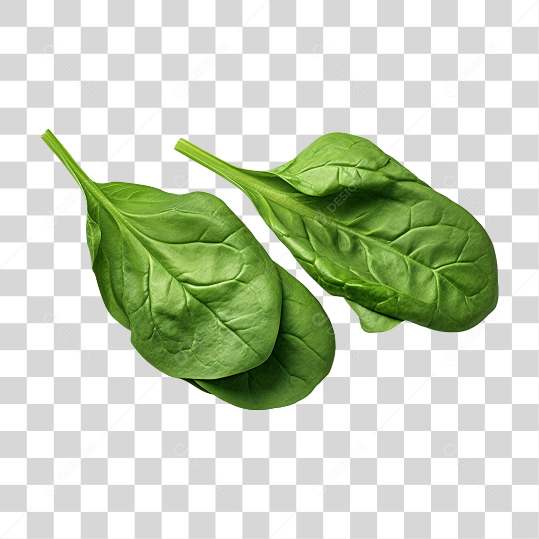 Verduras Legumes e Frutas Espinafre PNG Transparente