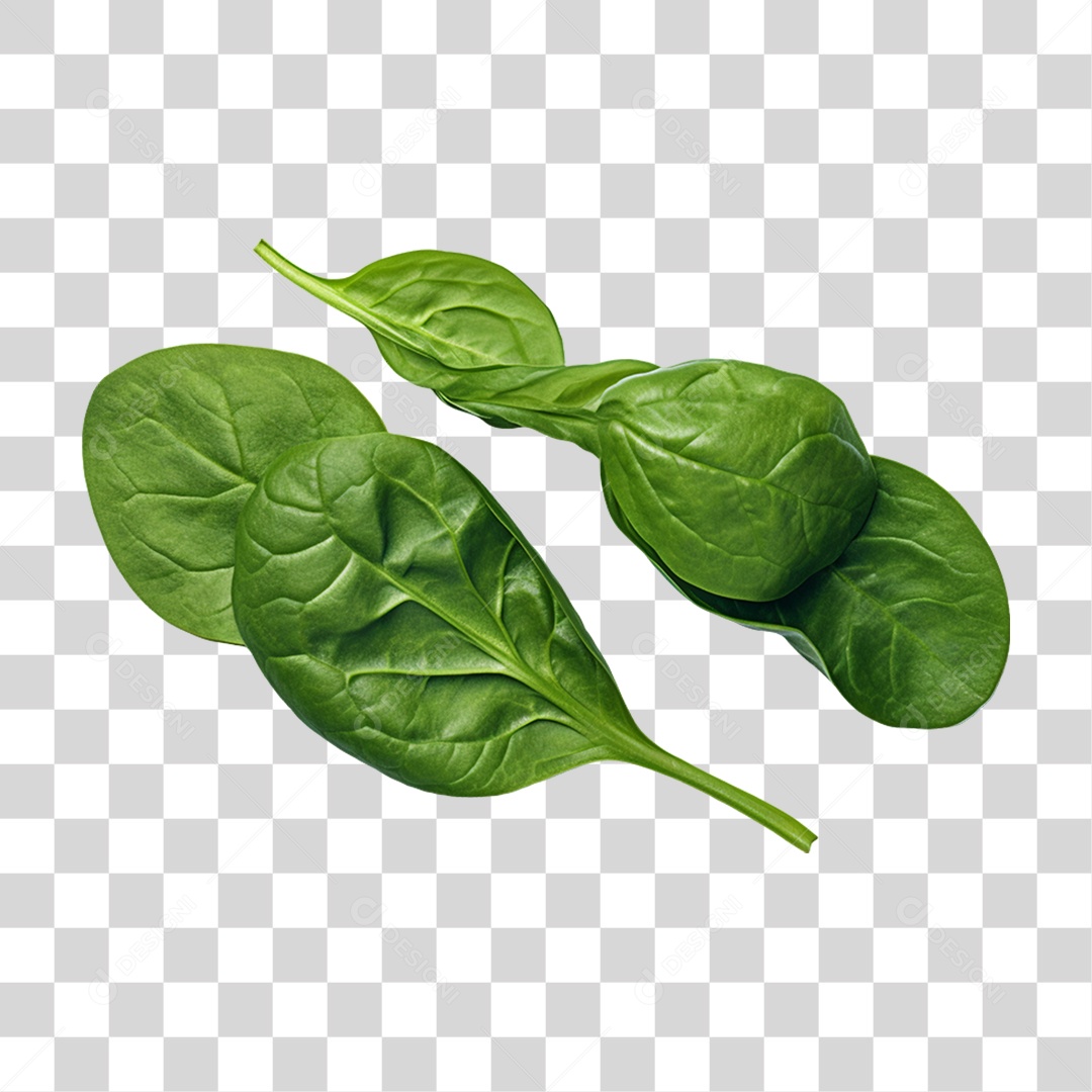 Verduras Legumes e Frutas Espinafre PNG Transparente