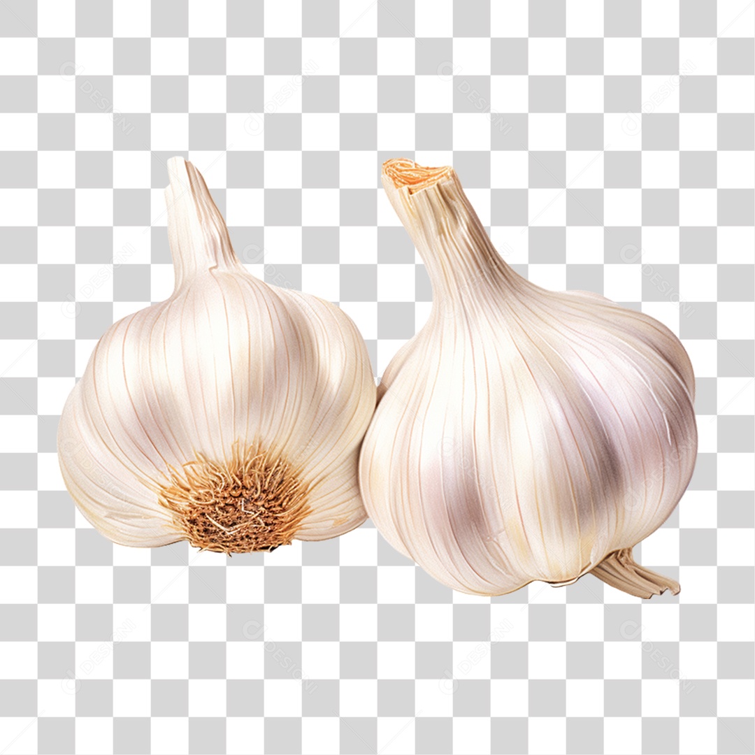 Verduras Legumes e Frutas Alho PNG Transparente