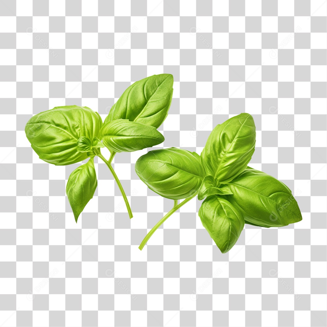 Verduras Legumes e Frutas Manjericão PNG Transparente