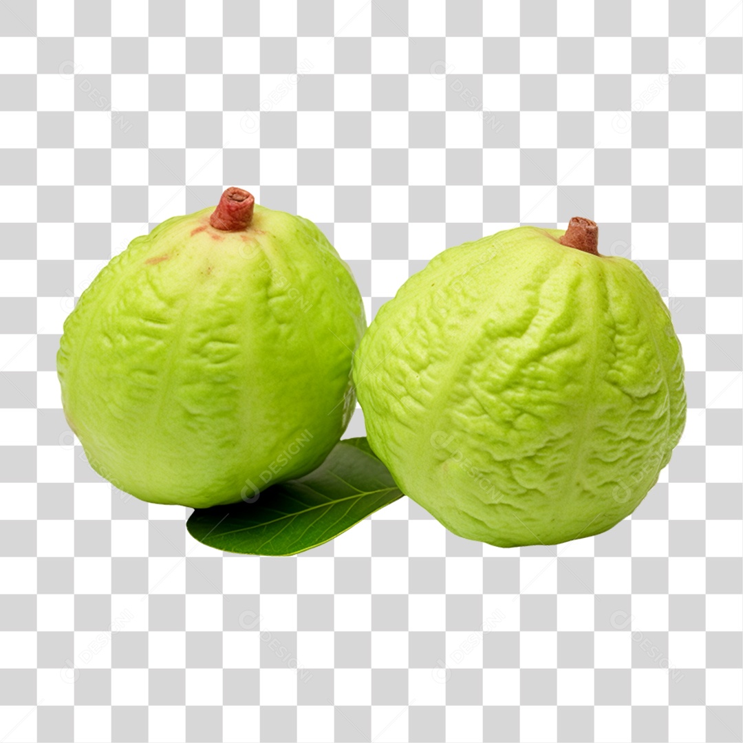 Verduras Legumes e Frutas Goiaba PNG Transparente