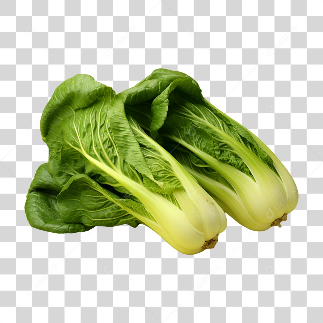 Verduras Legumes e Frutas Alface PNG Transparente