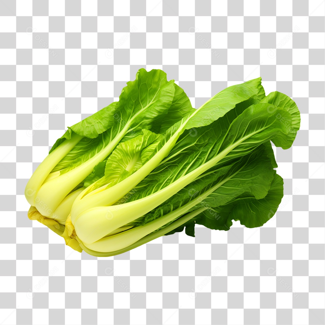 Verduras Legumes e Frutas Alface PNG Transparente