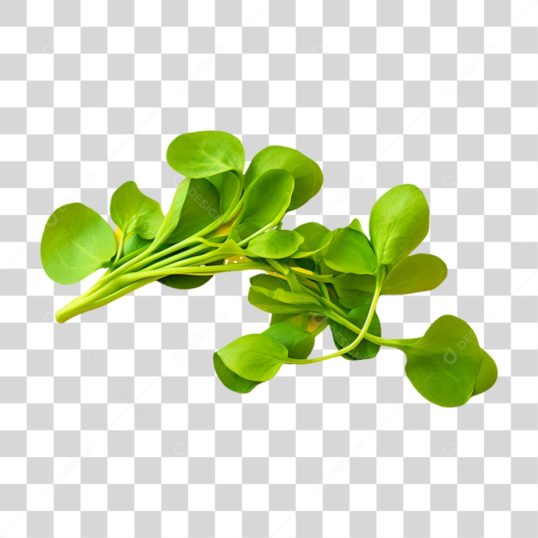 Verduras Legumes e Frutas Lepidium PNG Transparente