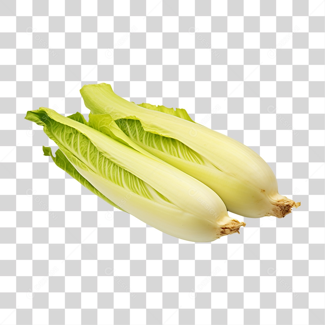 Verduras Legumes e Frutas Escarola PNG Transparente