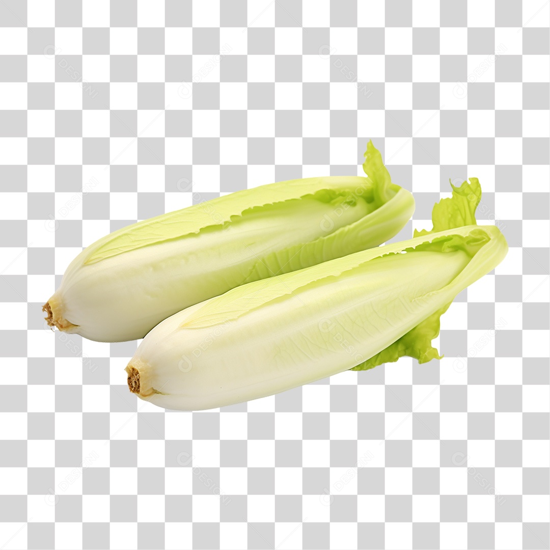 Verduras Legumes e Frutas Escarola PNG Transparente