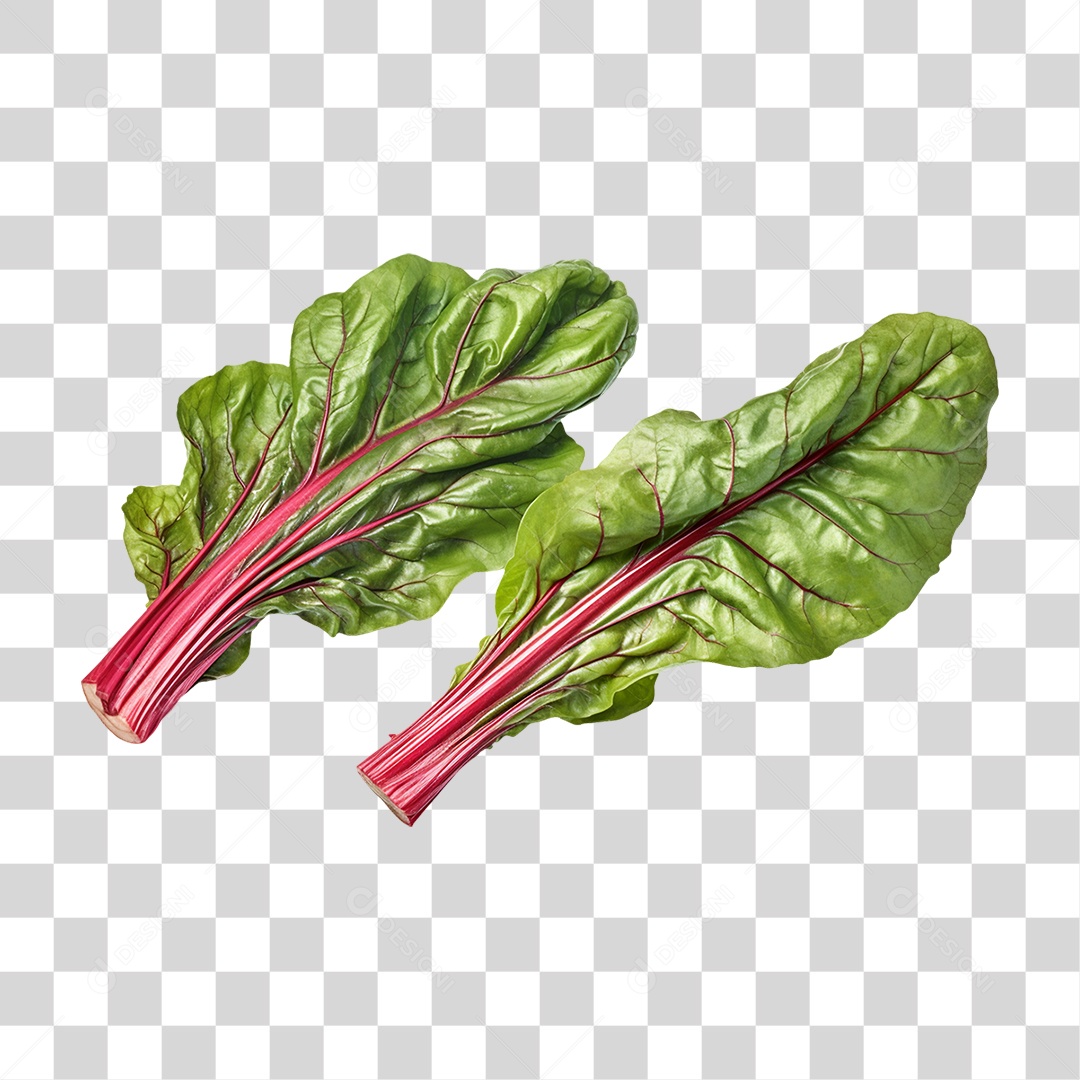 Verduras Legumes e Frutas Acelga PNG Transparente