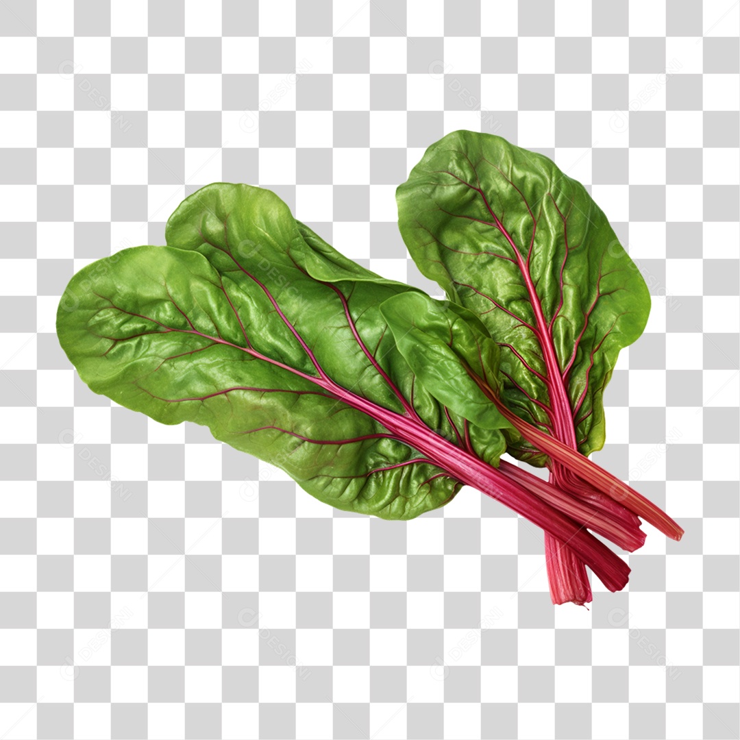 Verduras Legumes e Frutas Acelga PNG Transparente