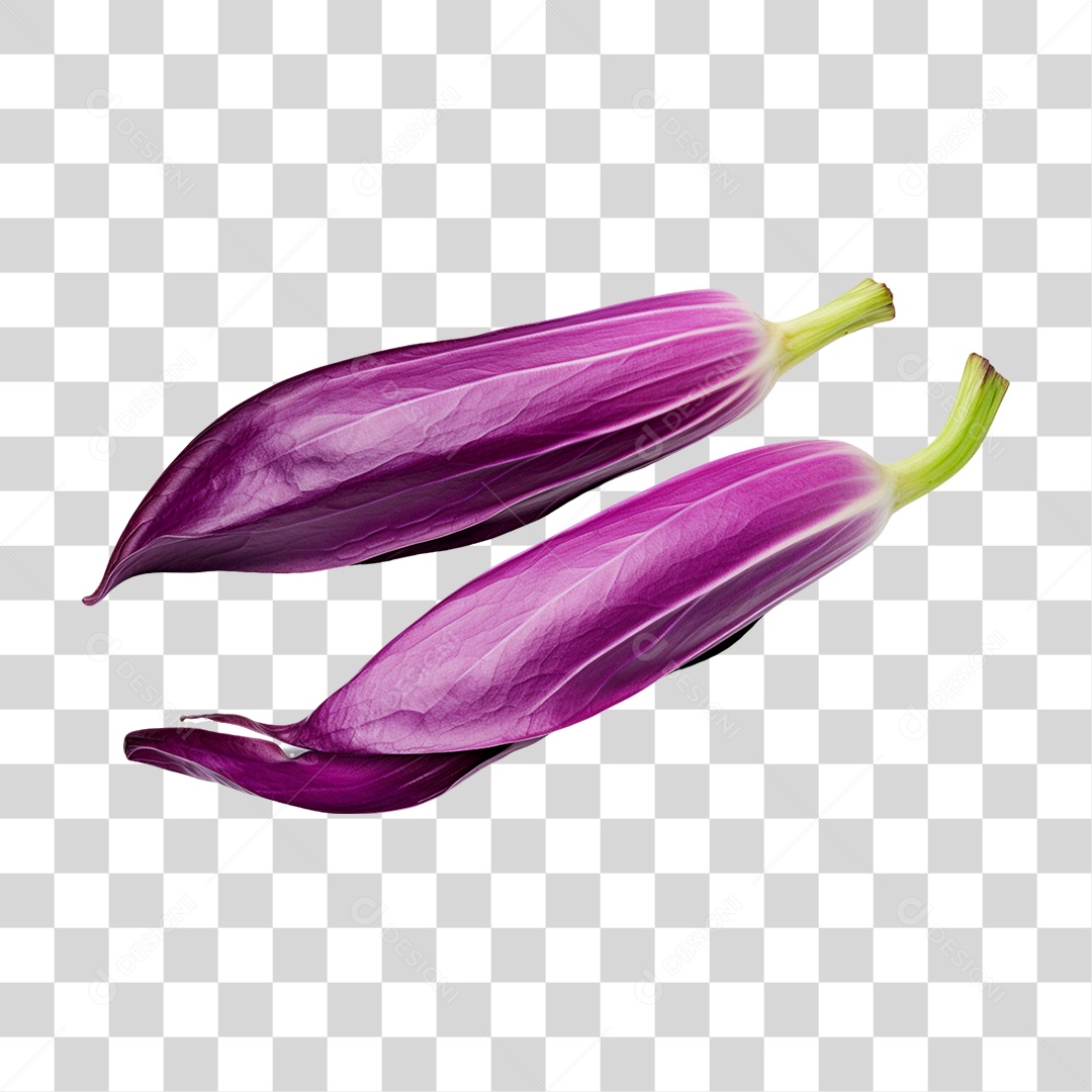 Verduras Legumes e Frutas PNG Transparente