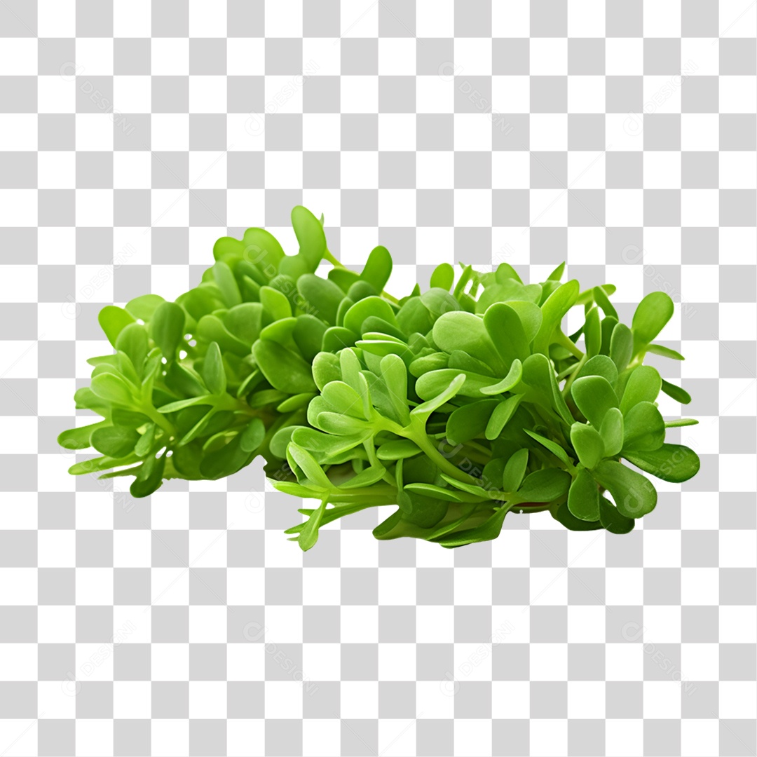 Verduras Legumes e Frutas Brotos PNG Transparente