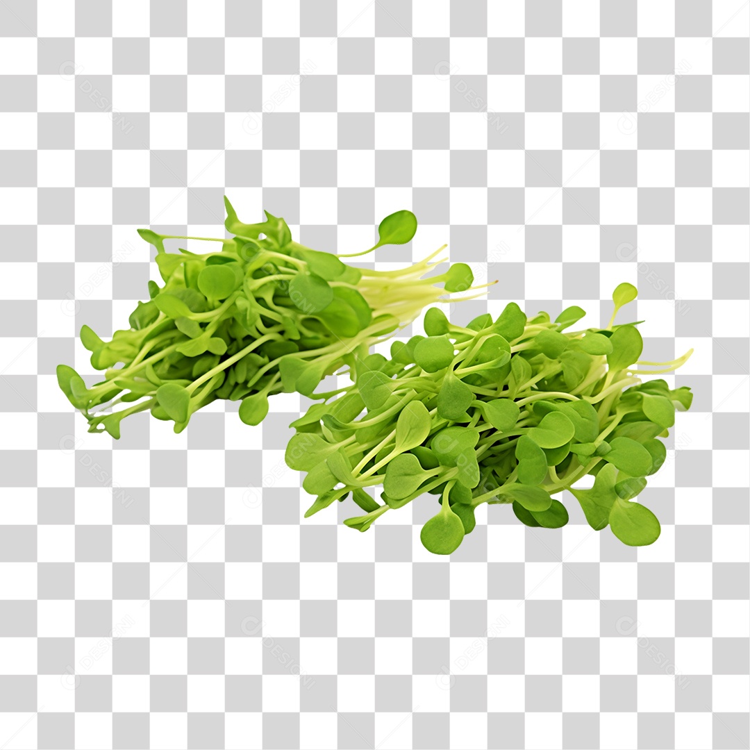 Verduras Legumes e Frutas Brotos PNG Transparente