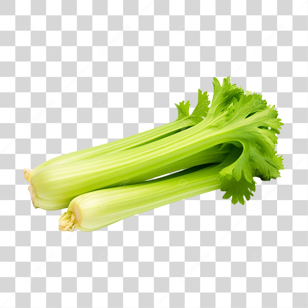 Verduras Legumes e Frutas Salsa PNG Transparente