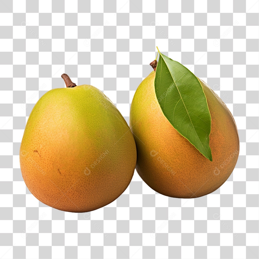 Verduras Legumes e Frutas Manga PNG Transparente