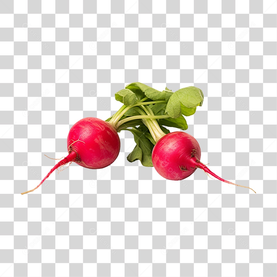 Verduras Legumes e Frutas Rabanete PNG Transparente