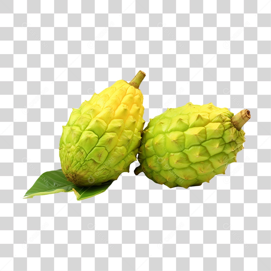 Verduras Legumes e Frutas Pinha PNG Transparente