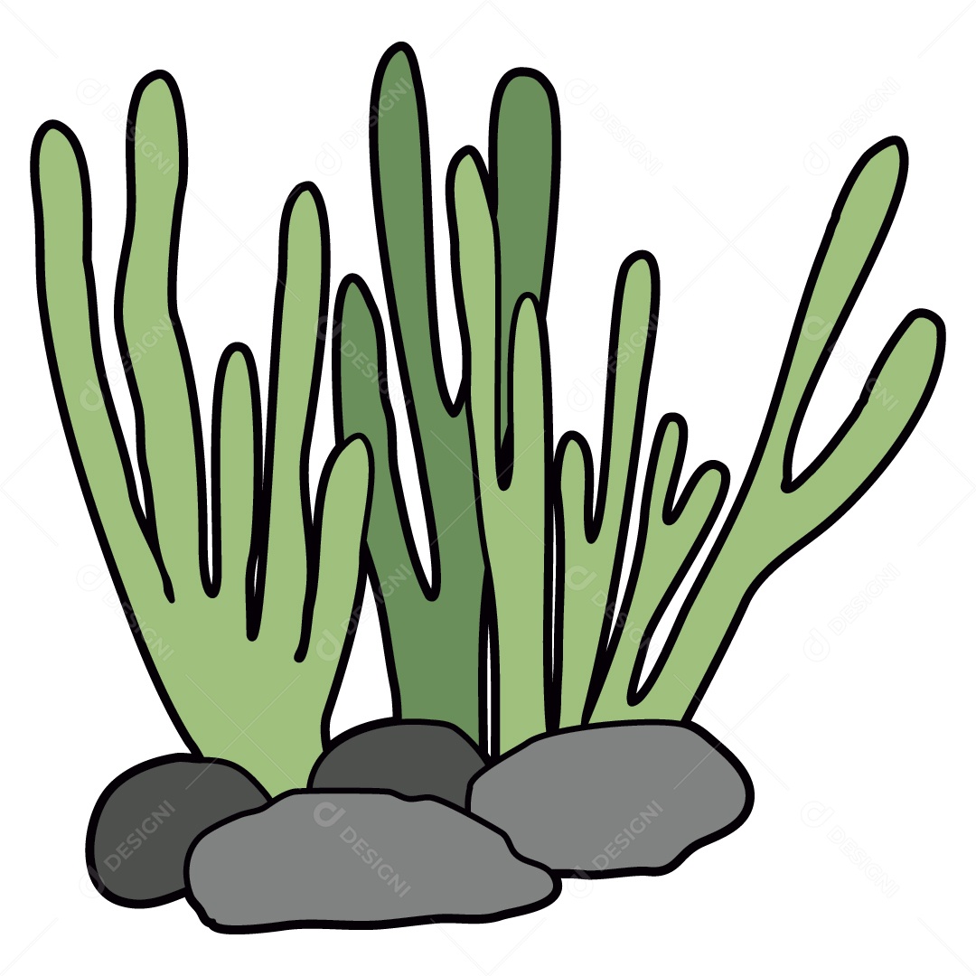 Algas Marinhas Ilustração Vetor EPS