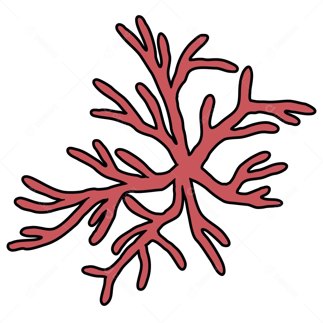 Algas Marinhas Ilustração Vetor EPS