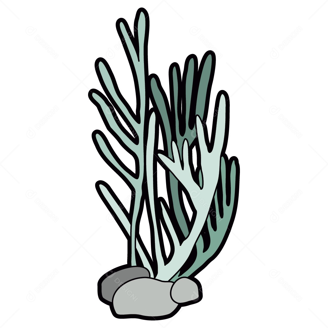 Algas Marinhas Ilustração Vetor EPS