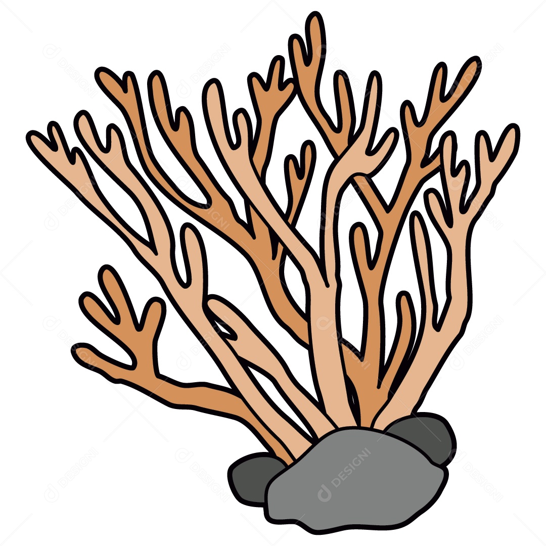 Algas Marinhas Ilustração Vetor EPS