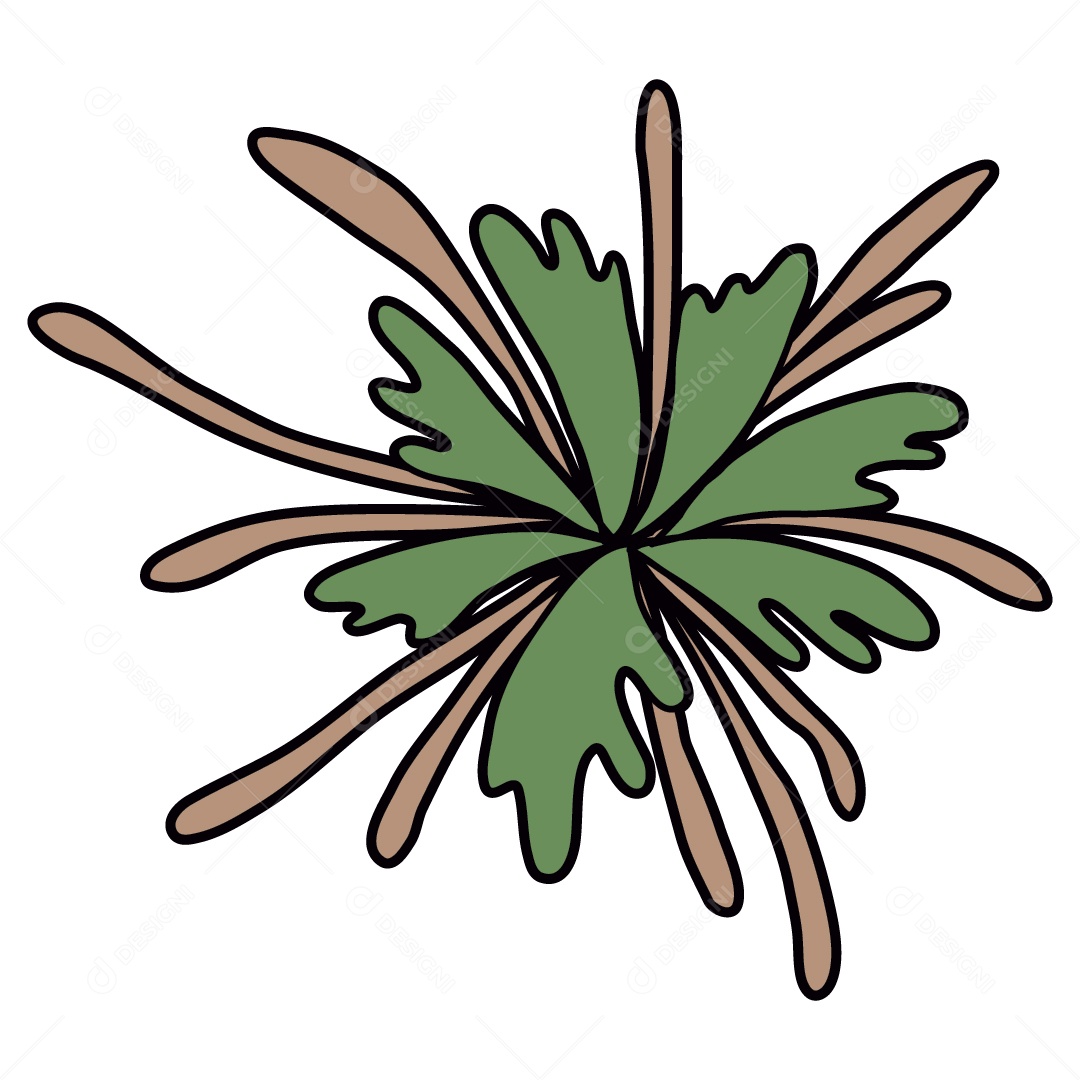 Algas Marinhas Ilustração Vetor EPS