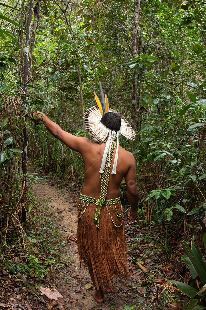 Índio Tupinambá com roupas típicas extraindo piaçava da mata.