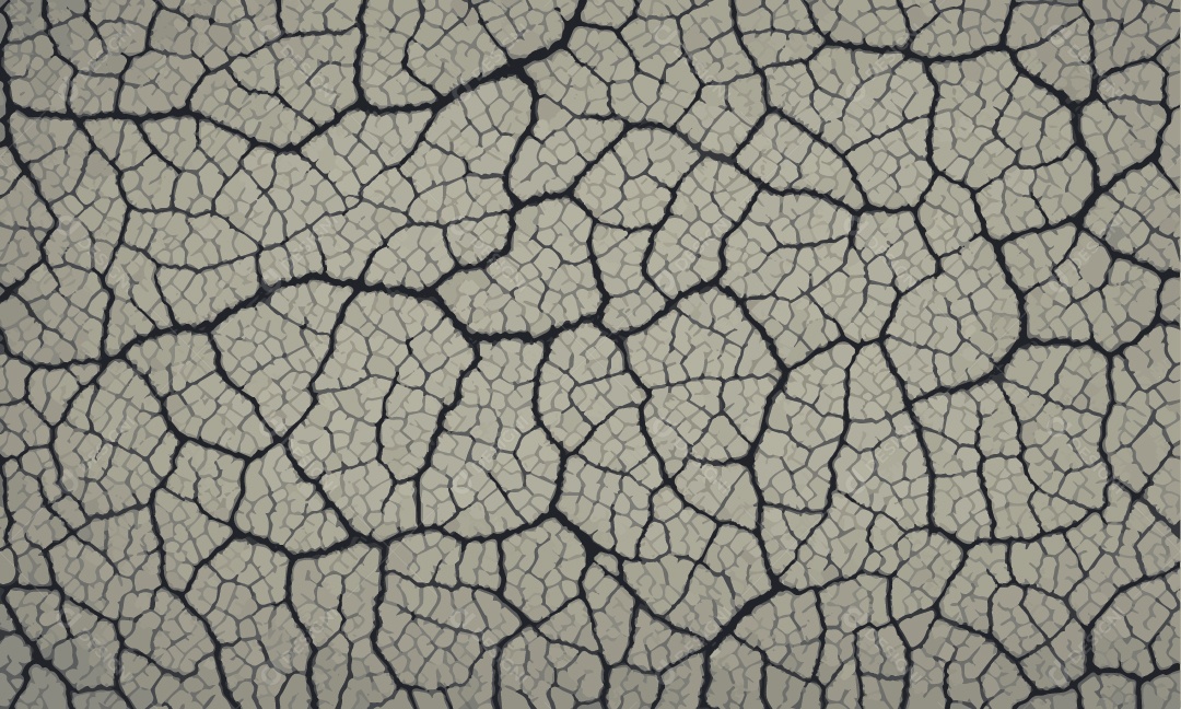 Background de Chão Seco e Rachado Vetor EPS