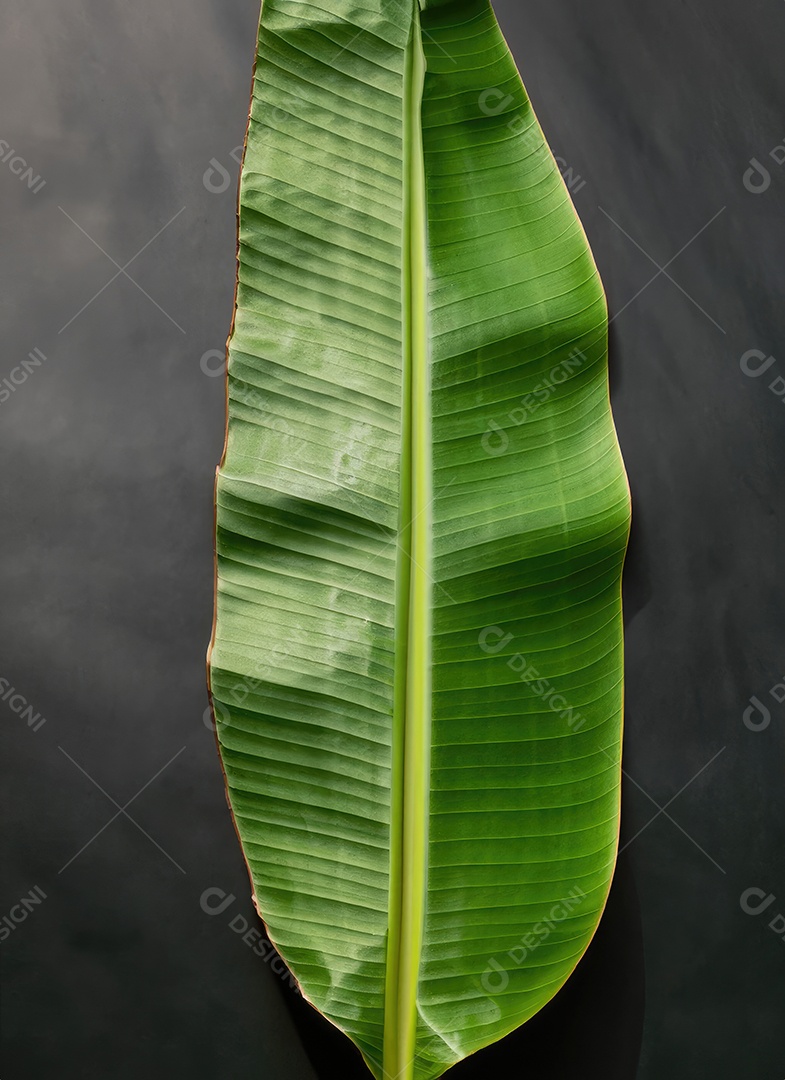 Folha de bananeira em branco tradicional com especiarias
