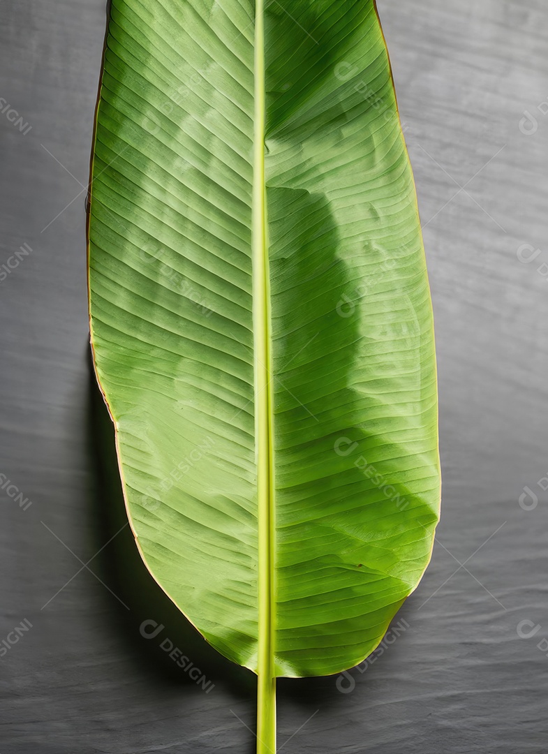 Folha de bananeira em branco tradicional com especiarias
