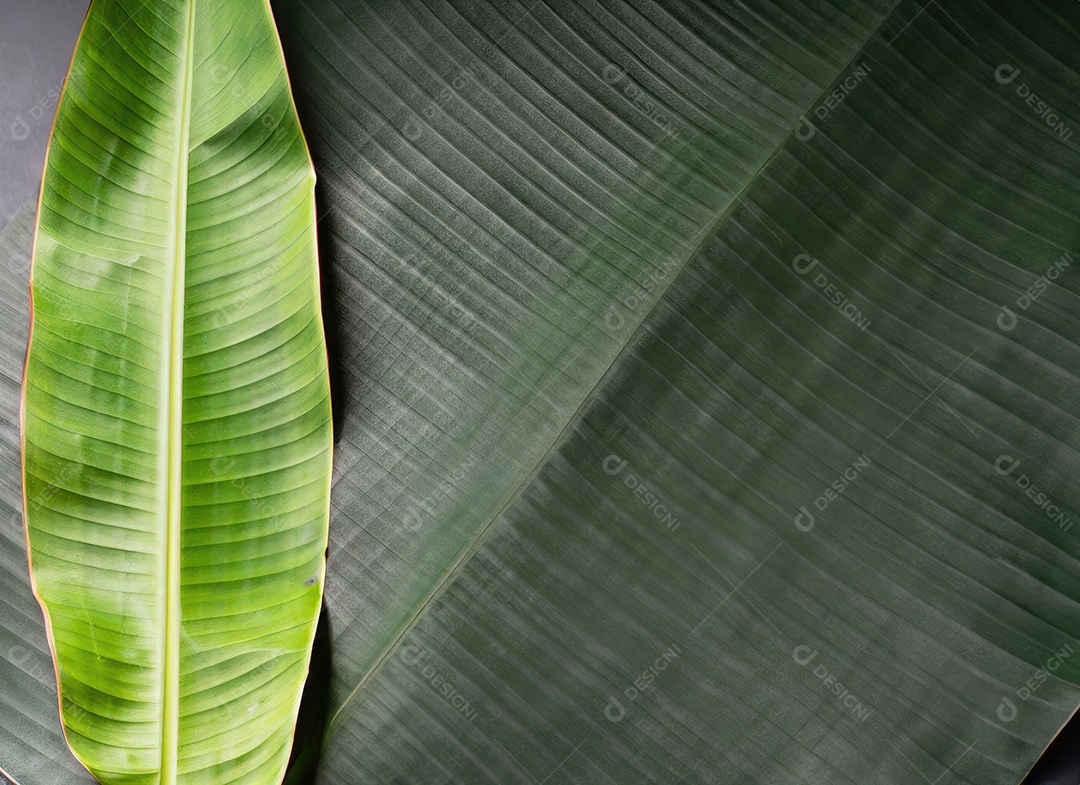 Folha de bananeira em branco tradicional com especiarias