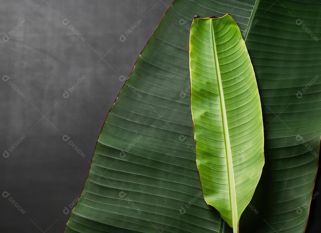 Folha de bananeira em branco tradicional com especiarias