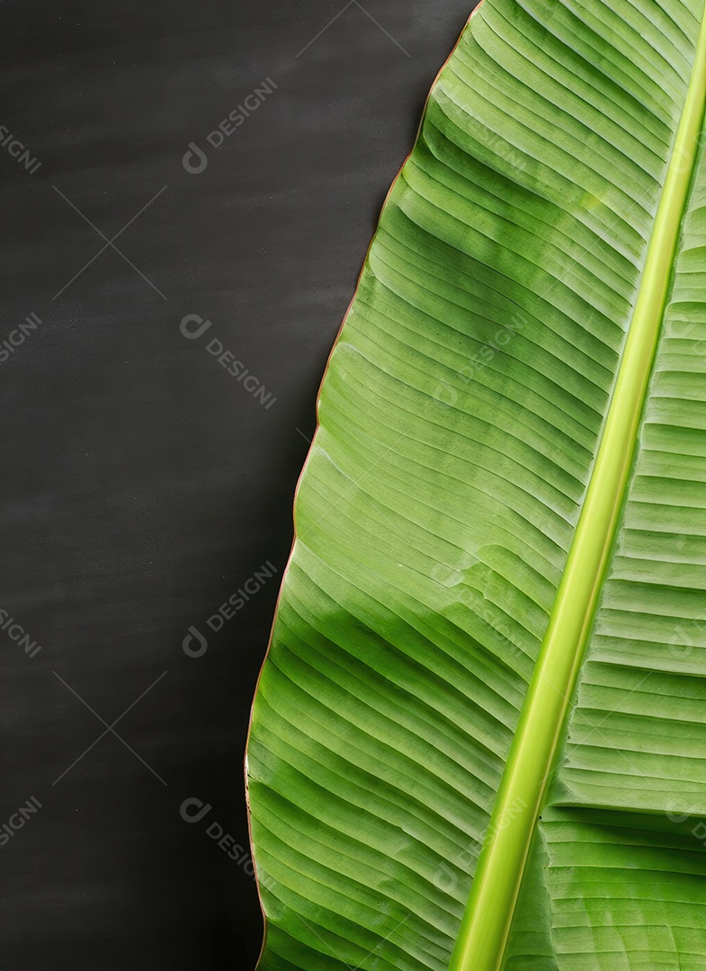Folha de bananeira em branco tradicional com especiarias