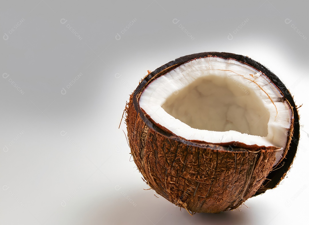 Coco e folha com espaço de cópia para texto em branco