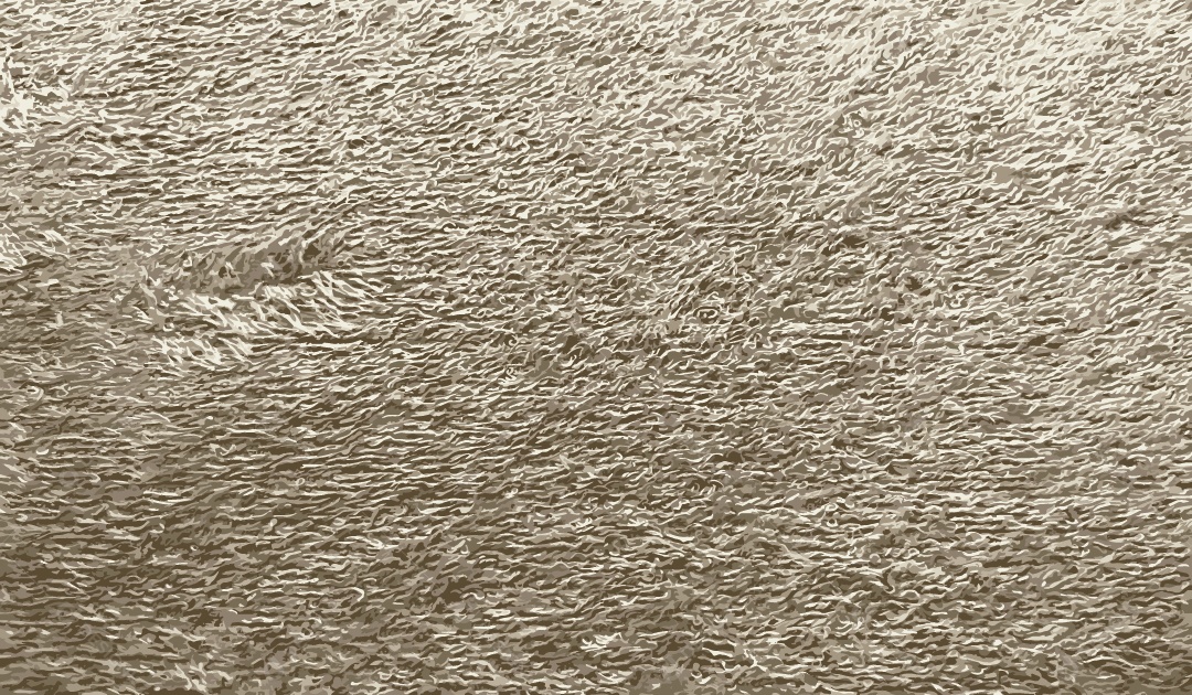 Textura Áspera Ilustração Vetor EPS