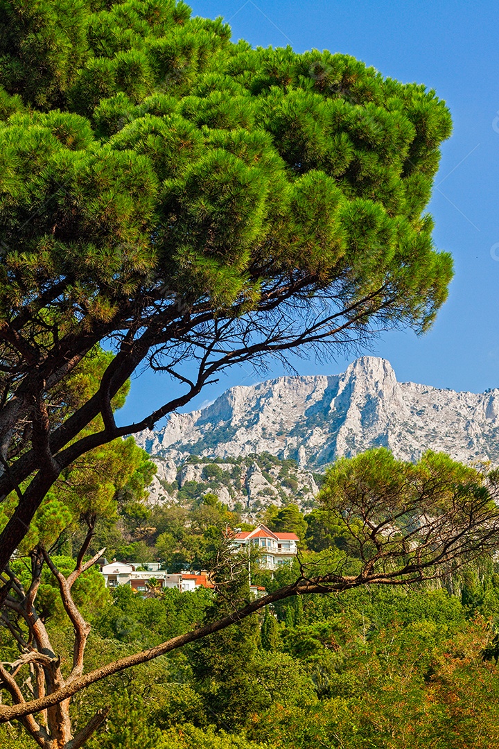 Crimeia, vista do Monte Ai-Petri vertical
