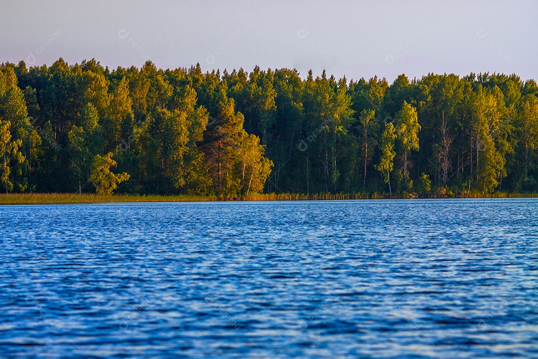 Lago da Carélia com borda de floresta