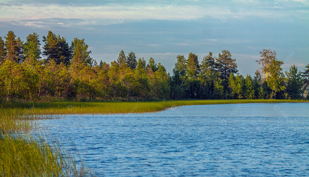 Lago da Carélia com borda de floresta