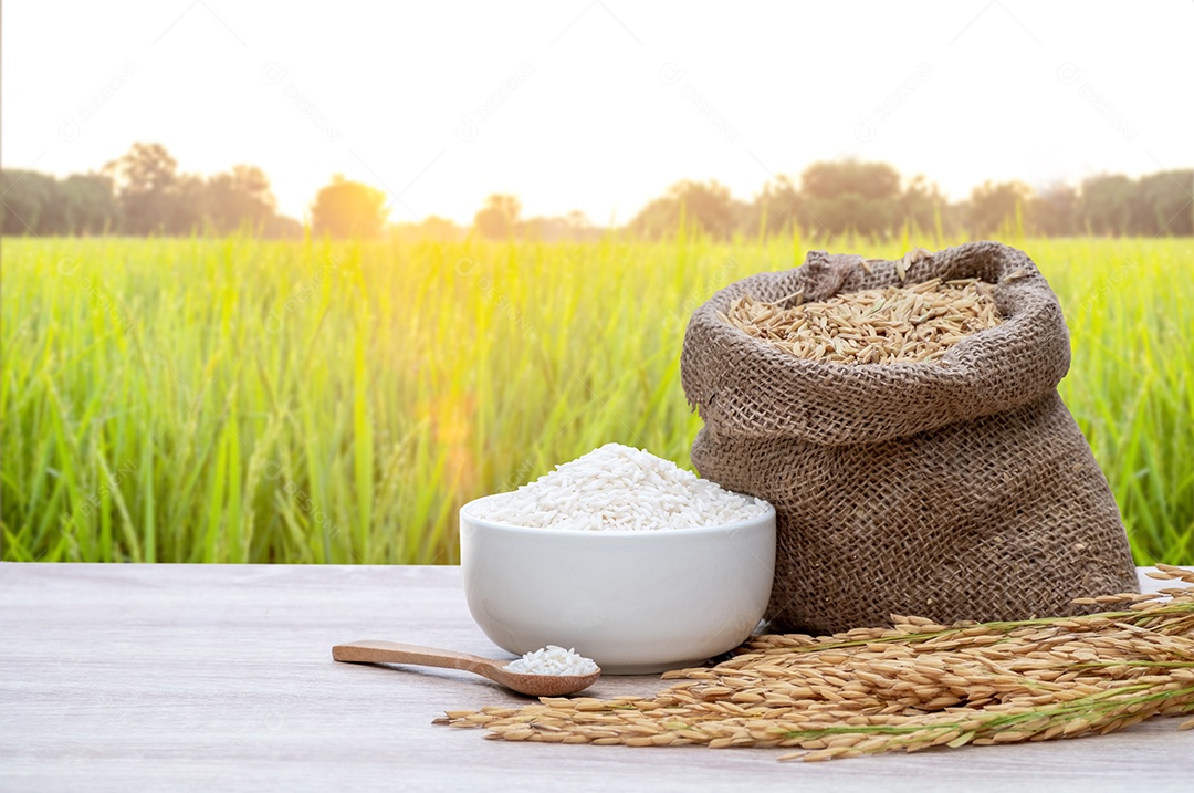 Grãos de arroz branco em tigelas brancas, grãos de arroz branco em colheres de madeira, grãos de arroz cru em sacos de cânhamo