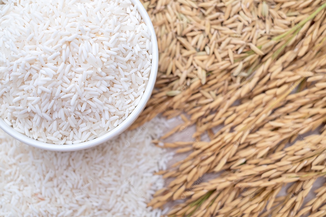 Grãos de arroz branco em tigelas brancas, orelhas e sementes de arroz branco colocadas na mesa de madeira moderna e fundo dourado natural