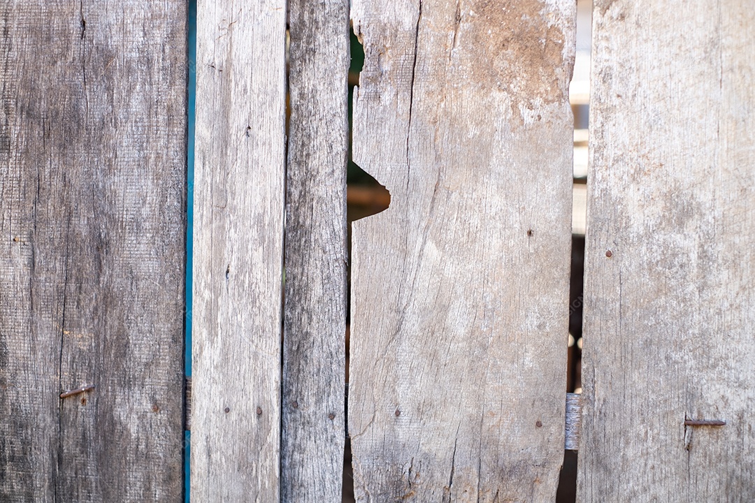 Fundo de textura de madeira velha vindo de árvore natural.