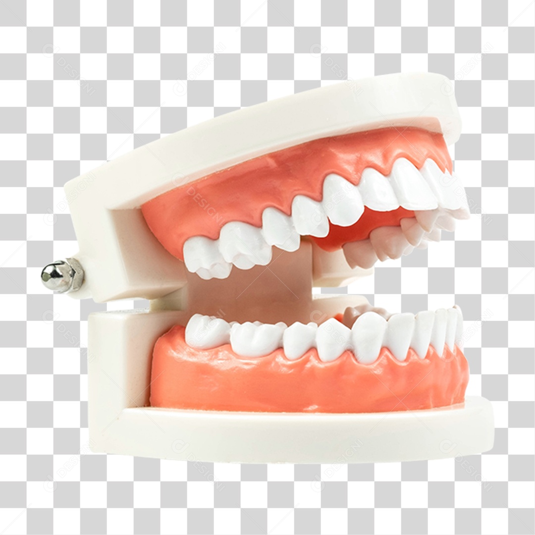 Elemento 3D Dentadura Para Composição PNG Transparente