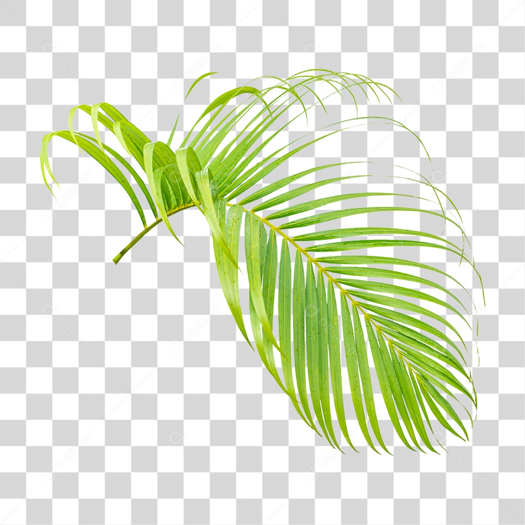 Folhas Verdes PNG Transparente