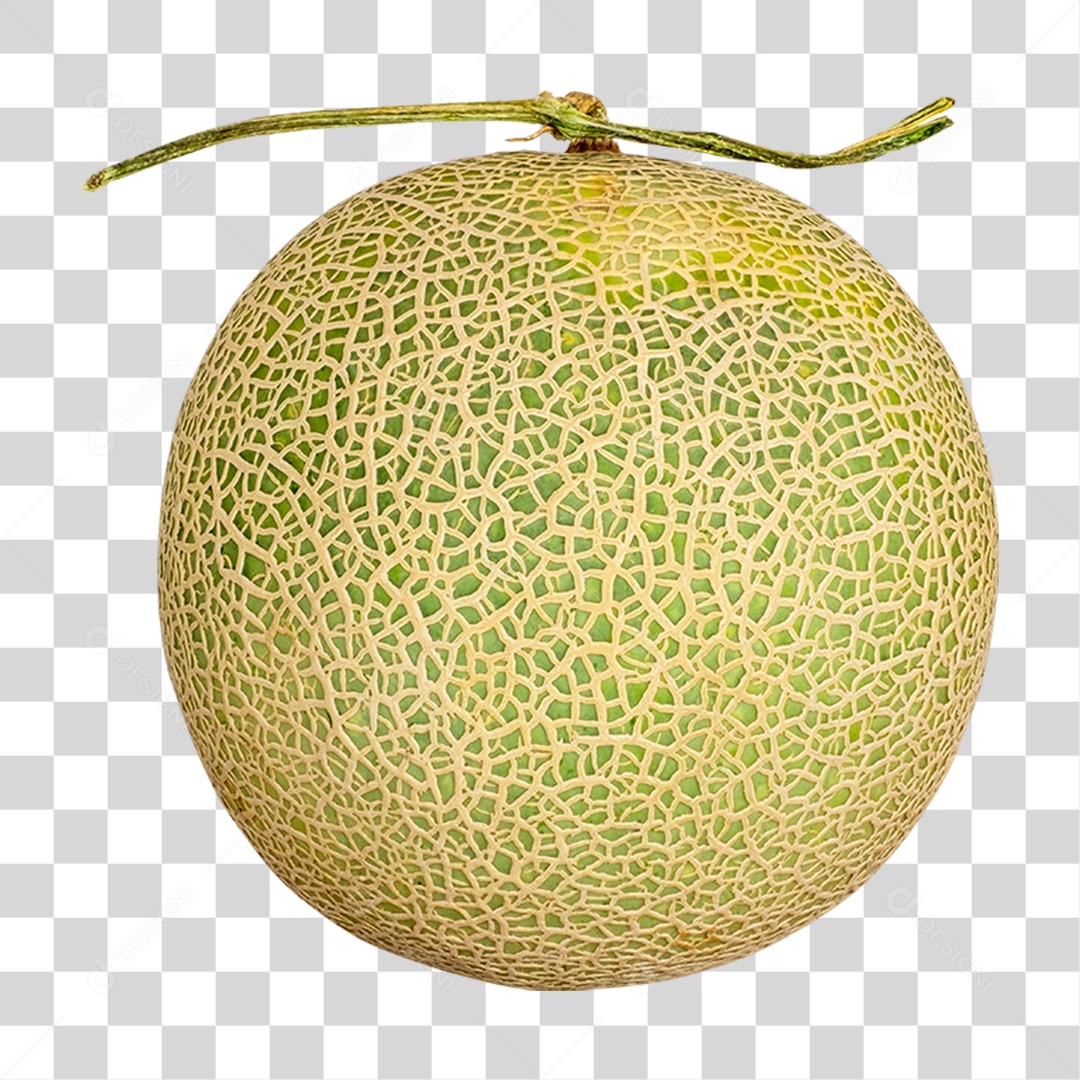 Fruta Melão PNG Transparente