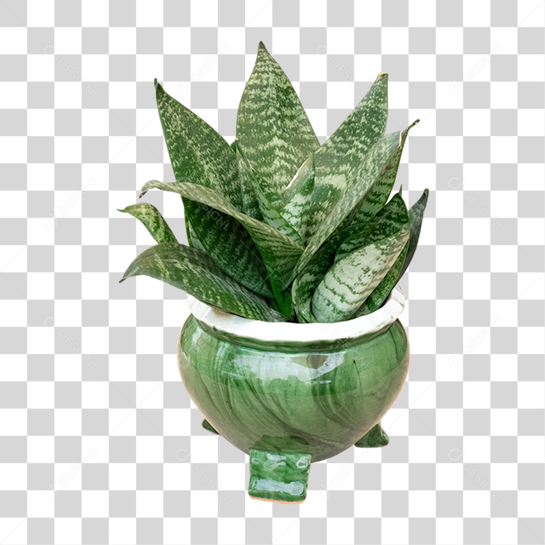 Vaso com Planta Verde PNG Transparente