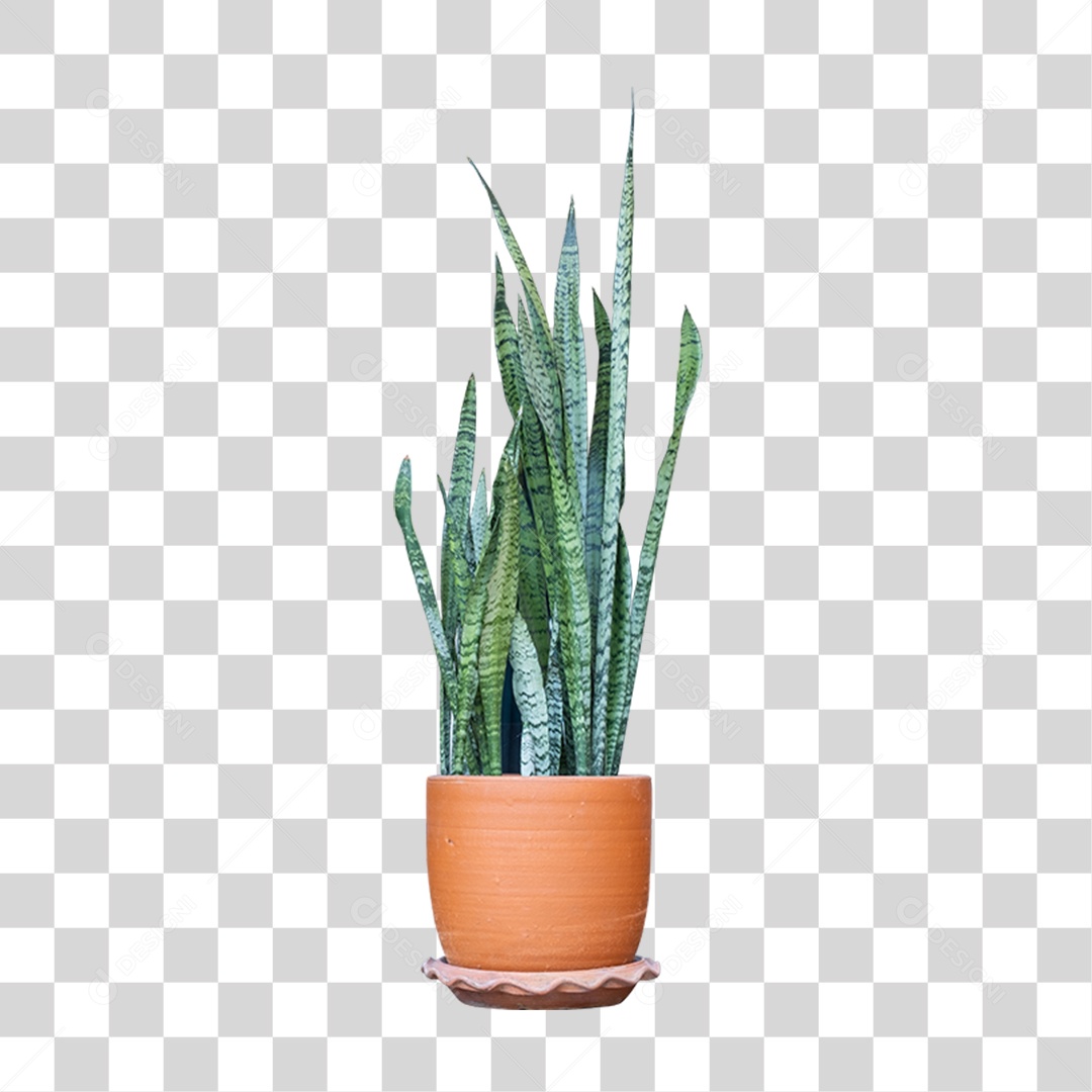 Vaso com Planta Verde PNG Transparente