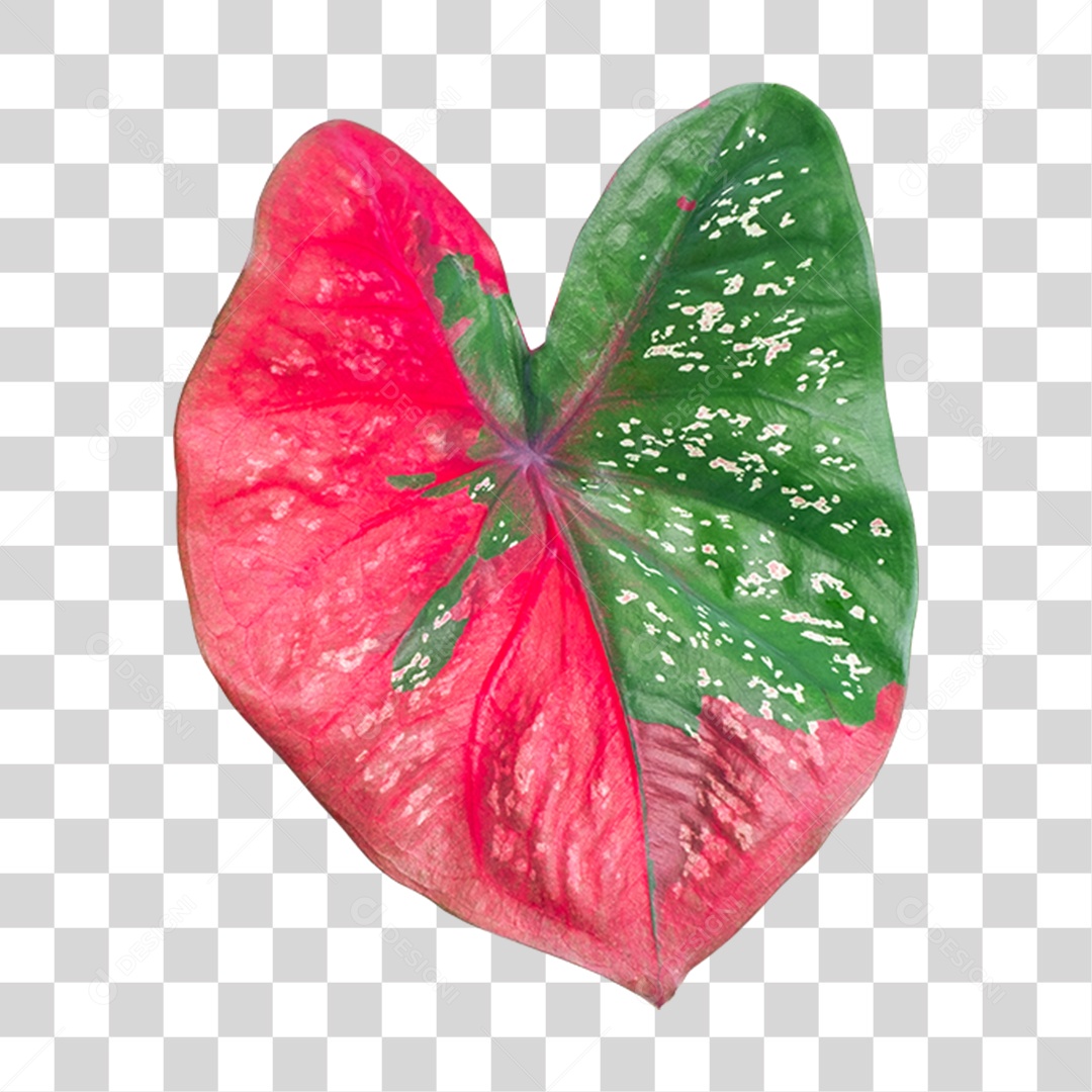 Folha Verde PNG Transparente