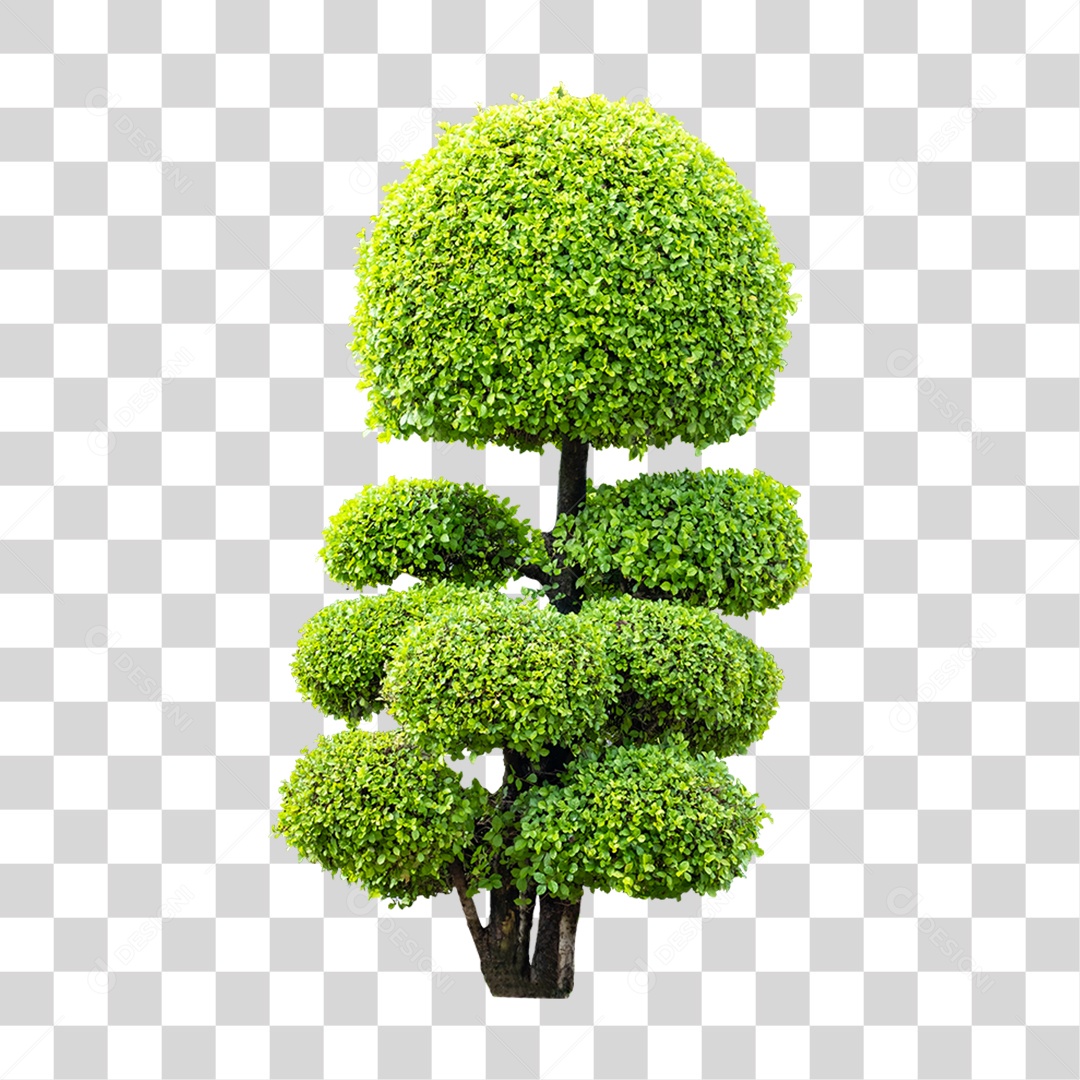 Arvore Verde Cortada Modelada PNG Transparente